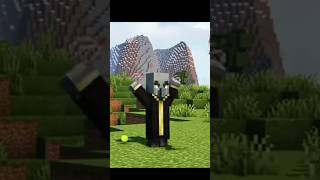 Secret Of Evoker In Minecraft 😱shorts [upl. by Aneeram511]