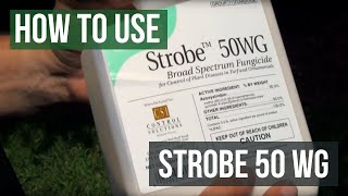 Strobe 50 WG Fungicide Azoxystrobin How To Use [upl. by Horwath]