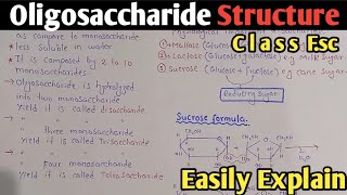 Oligosaccharide Structure And Classification  Disaccharide  Sucrose  Maltose  Class 11 [upl. by Gunter]