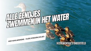 Hop Marjanneke  Alle eendjes zwemmen in het water  Luister Nuquot 🦆🎶 [upl. by Eahc]