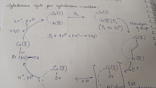 CytochromeCoxidase catalytic cycle [upl. by Adym726]