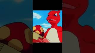 Charmeleon vs Paras [upl. by Wallas]