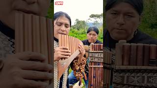 The Sound of Silence  panflute  Flute Quena  Toyus And Sunpa Arts sunmusic panflute sunpa [upl. by Eidac250]