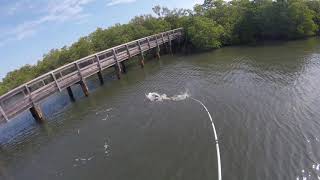 Intracoastal Fishing Hobe Sound Florida [upl. by Constantia]