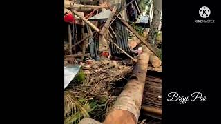 Aftermath of typhoon Odette in Poo Guindilman Bohol [upl. by Ennovyhs]