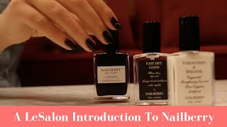 An Introduction What Is Nailberry [upl. by Hannala]