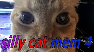 Digest voiced cat memes D [upl. by Kimball646]