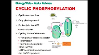 Class 11  Biology  Chapter 11  Lecture 8  Cyclic Phosphorylation  Chemiosmosis [upl. by Nitsrik]