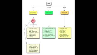 Anemias  Microcytic Normocytic amp Macrocytic Overview [upl. by Leksehc596]