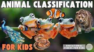 Animal Classification for Kids  Mammals Reptiles Amphibians Fish Birds [upl. by Aiotal78]