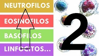 LEUCOCITOS » ¿Qué son Funciones Valores adecuados Parte 2 [upl. by Aggappora]