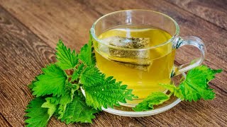 Drink A Glass Of Stinging Nettle Tea Every Day THIS Will Happen To Your Body [upl. by Nnaeel]