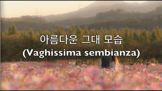 이태리가곡 Vaghissima sembianza 10번 듣기 [upl. by Suitangi]