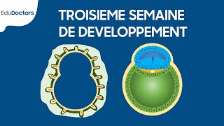 Troisième semaine de développement  Embryologie générale [upl. by Yhtomot]