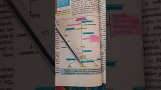 Prostaglandins synthesisstructureBiochemistry [upl. by Aix]