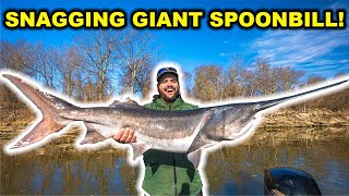 Snagging GIANT Prehistoric SPOONBILL Fish Catch Clean Cook [upl. by Lraep]