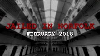 Meet the criminals jailed in Norfolk in February 2018 [upl. by Dagall]