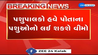 Gujarat Govt puts Pashudhan Vima Sahay Yojana into effectNowcattle can be insured by paying Rs 100 [upl. by Yevre]