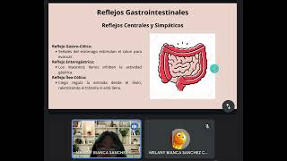 REFLEJO GASTROINTESTINALES CONTROL HUMORAL TIPOS MOV INTESTINAL [upl. by Gerladina473]