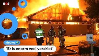 Paarden om het leven gekomen bij grote stalbrand in Zeewolde [upl. by Nofets345]