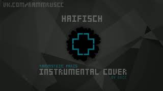 Rammstein  Haifisch instrumental cover Rammstein Paris [upl. by Enelam]