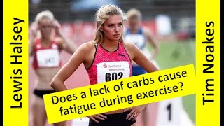 Does a lack of carbs cause fatigue during exercise  Tim Noakes  Ep 22 [upl. by Maegan]