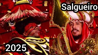 Confira as fantasias do Salgueiro para carnaval 2025 [upl. by Okiron]