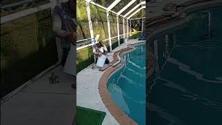 COPING BULL NOSEE SWIMMING POOL EDGES REPAIR BY PLATINUM PAVERS OF SWFL [upl. by Gurl]