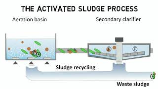 Activated sludge process and IFAS  Design rules  guideline [upl. by Anaid]