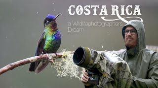 in search for the perfect photo photographing Hummingbirds and Quetzals in Costa Rica [upl. by Fryd201]