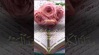 the most beautiful Quran Recitation Heart Touching  Really emotional [upl. by Arrad]