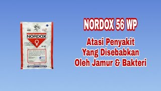 Fungisida Sekaligus Bakterisida NORDOX 56 WP [upl. by Atikam]