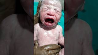 Essential care of new born baby shortsvideo cutebaby newbornarrival newbornbaby [upl. by Veno]