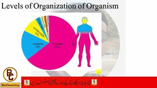 Levels of organization of organismsAtomic and subatomic levelBiology 9th [upl. by Lew70]