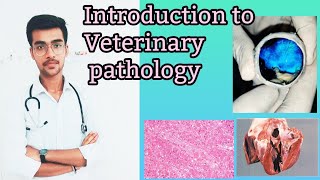 Introduction to Veterinary pathology  Vet study  by Aniket tyagi [upl. by Herm]