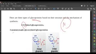 L29 Glycoproteins amp Proteoglycans [upl. by Hevak]