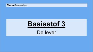 Havo 5  Gaswisseling en uitscheiding  Basisstof 3 De lever [upl. by Nosyla]