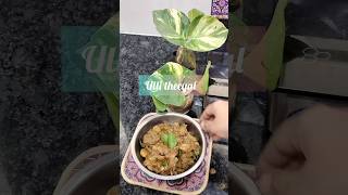 Onam sadya special recipeulli theeyal food cooking shortvideo shorts onam [upl. by Eegnat]