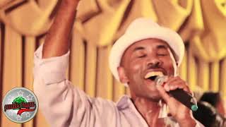 Best of Muktar Usman Oromo Music Collection [upl. by Macilroy]