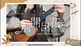 《離別開出花》別管那多嘴烏鴉，人生總會開出花 ukulele cover 烏克麗麗彈唱 就是南方凱 [upl. by Faux758]