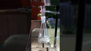 sodium me chlorine Milate Hai To Kaisa reaction rahega experiment video fact shorts horrorstories [upl. by Bilek]