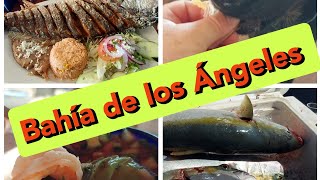 Bahia de los Angeles Baja California  Daggetts Sportfishing  Hotel Los Vientos bdla bola [upl. by Kenward]