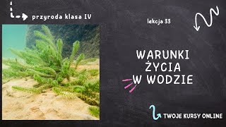 Przyroda klasa 4 Lekcja 33  Warunki życia w wodzie [upl. by Eiramyllek]