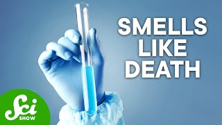 The 5 Most Dangerous Chemicals on Earth [upl. by Relyhs720]