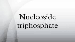 Nucleoside triphosphate [upl. by Phedra]