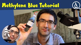 🔬 How to stain cells with Methylene Blue  Amateur Microscopy [upl. by Darline]