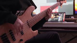 The Way  Meshell Ndegeocello bass cover 4K [upl. by Maynard]