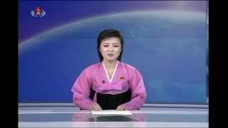 Evening news on North Korean TV April 7 2013 [upl. by Smoot]