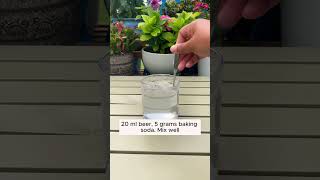 Solve the problem of hard soil garden gardening plants planting [upl. by Cherilyn991]