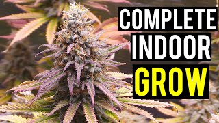 Seed To Harvest A Complete Indoor Cannabis Grow [upl. by Ottilie132]